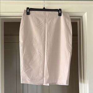 Theory - 8 - Elegant Eggshell Pencil Skirt in Tropical wool perfect